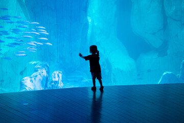 silhouette of a little girl in the giant aquarium