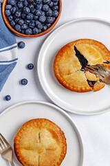 Two delicious blueberry pies on the white plates, overhead view