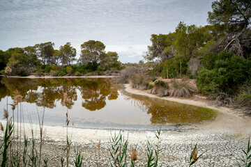 lake and trees in Albufera national park Valencia