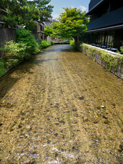 祇園白川　新門前橋付近　京都府