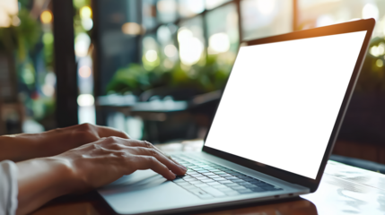 man on his laptop close up. Worked from home/shopped online. easy modification