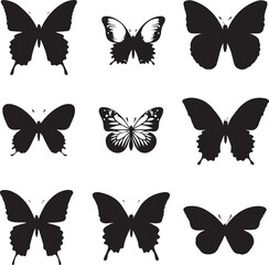 butterfly Set on white background