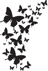 butterfly Set on white background