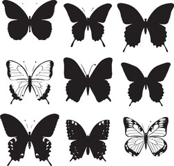 butterfly on a white background