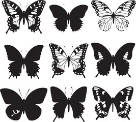 butterfly on a white background