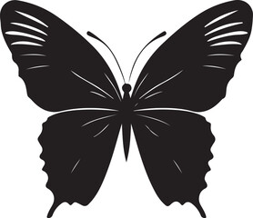 butterfly on a white background