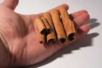 cinnamon sticks in a hand isolated