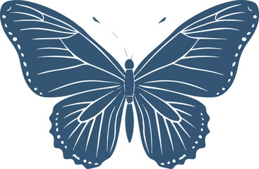 butterfly on a white background