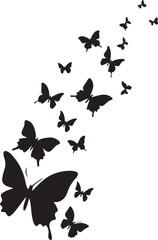 butterfly on a white background