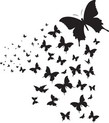 butterfly on a white background