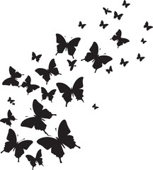 butterfly on a white background