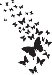 butterfly on a white background