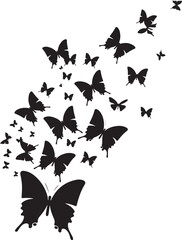 butterfly on a white background