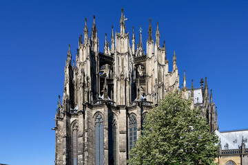 the east side with the oldest parts of cologne cathedral in the warm morning light