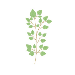 Illustration of Branching Leaves Branched Leaf Decoration