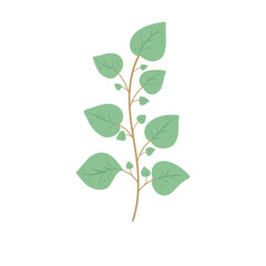 Illustration of Branching Leaves Branched Leaf Decoration