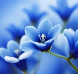 close up of blue flower, spring, plant, blue, macro, crocus, beauty, flora, violet, bloom, blossom, garden, petal