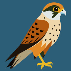 American Kestrel Vector Illustration: Capturing Nature's Beauty in Art