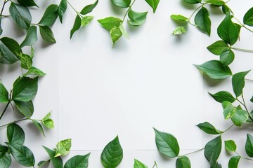 Naklejka premium Green leaves creating a border on a white background.