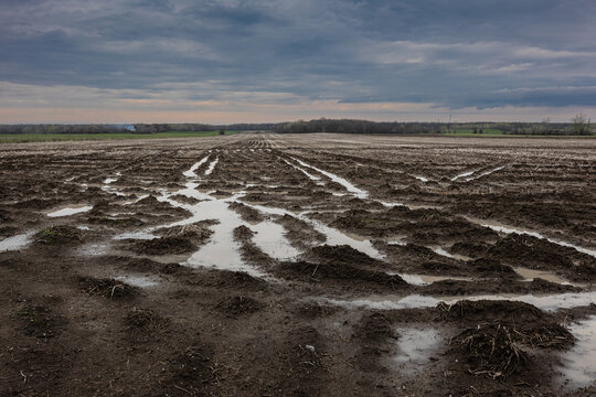 A muddy field with a puddle in the center surrounded by grass