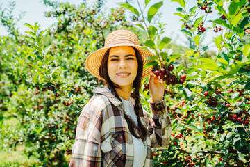 One young caucasian girl with a straw hat in cherry field checking on trees and cherries on a sunny day	