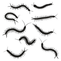Set of Centipede Vector Art Silhouette