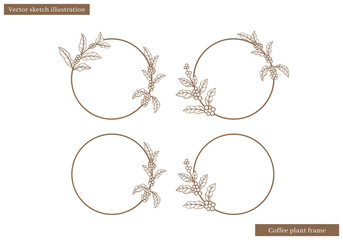 circle frame with coffee plant leaves border vector sketch hand drawn illustration vector