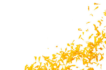Yellow Marigold petals falling romantic white background isolated with yellow marigold flower...