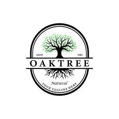 Obraz premium Tree logo vector with lush leaves. Nature tree vintage logo design