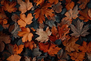 Fototapeta premium Bakground made of autumn brown and orange leaves