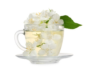 Aromatic herbal tea in glass cup and jasmine flowers isolated on white