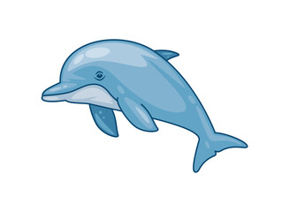 cute dolphin ocean animal