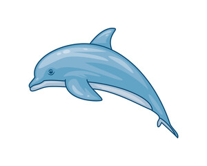 cute dolphin jumping aquatic animal