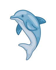 friendly and intelligent dolphin