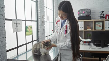 A young chinese woman veterinarian gently examines a kitten in a bright veterinary clinic with modern equipment and decor.