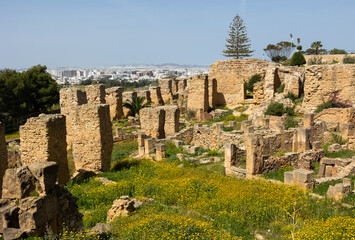 Fototapeta premium Ruins of the house of Hannibal at the excavations of Carthage