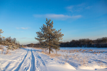 Beautiful rural winter landscape. View of the snowy path and trees. Rut in the snow on a country road. Frozen river valley. Snow on the ground. Cold snowy weather in the countryside.
