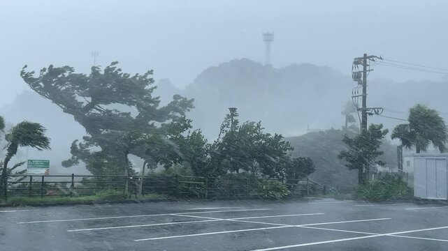 Lashing Rain And Strong Wind In Eyewall Of Hurricane At Landfall - Nanmadol