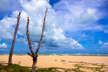 Beach with blue sky at Ban Nam Khem Tsunami Memorial Park in Phang-nga Thailand