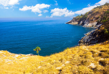 Blue sky with dry glass at Krating cape in summer Phuket Thailand