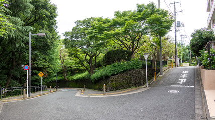 公園とカーブした道路