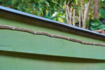 old electric wires affixed to wooden surface with metal clips, run along the older outdoor wood...