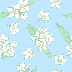 May flowers pattern with blue background