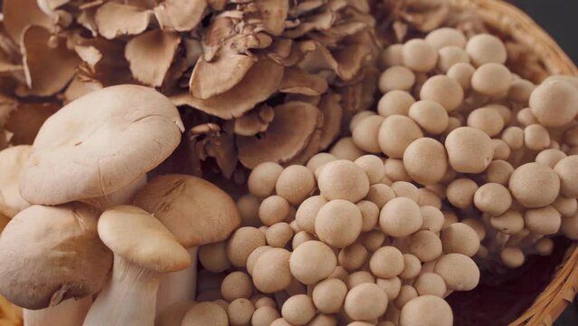 キノコの盛り合わせ（舞茸、エリンギ、ぶなしめじ）