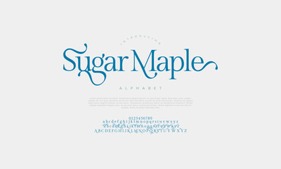 Sugarmaple premium luxury elegant alphabet letters and numbers. Vintage wedding typography classic serif font decorative vintage retro. creative vector illustration