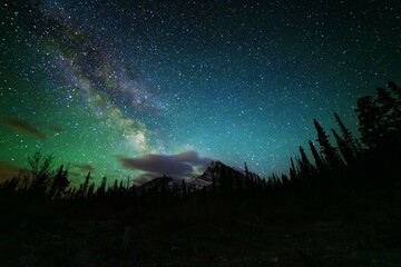 Fantastic starry sky with the Milky Way against the backdrop of the Canadian Rockies