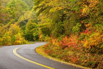 Naklejka premium Winding road through Snoky Maountain National Park, Tennessee in the fall season