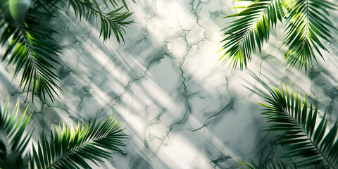 Palm tree over marble texture background 