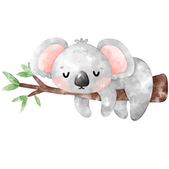Cute Koala watercolor, koala png, Koala bear