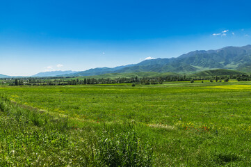 Green fields against the backdrop of green mountains and blue sky.